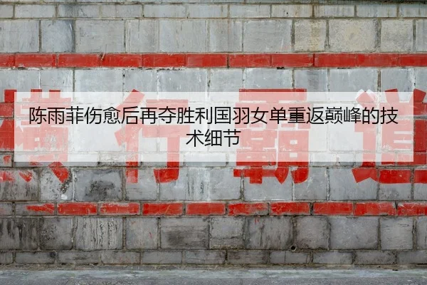 陈雨菲伤愈后再夺胜利国羽女单重返巅峰的技术细节